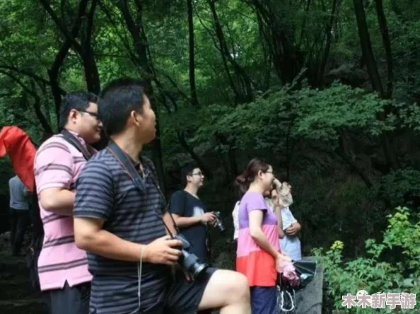 一起草网名：创造独特个性，结合用户评价与见解的完美选择