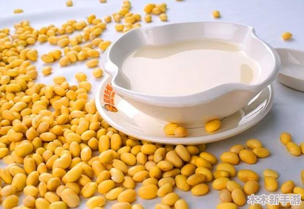 大坤坤豆浆：健康饮品的新时代，带你领略美味与营养的完美结合