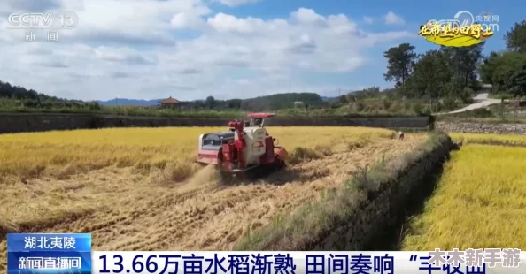 优质灌溉系统gl让农田焕发新生，网友称其为“农业革命的秘密武器”