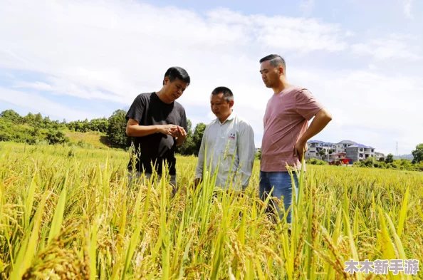 优质灌溉系统gl让农田焕发新生，网友称其为“农业革命的秘密武器”