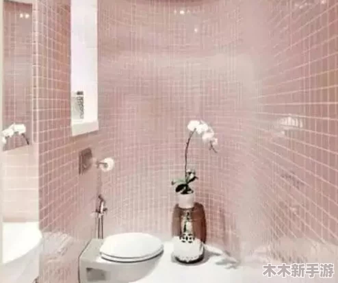 私房厕拍：独特视角下的生活艺术，展现隐秘空间的美与趣味