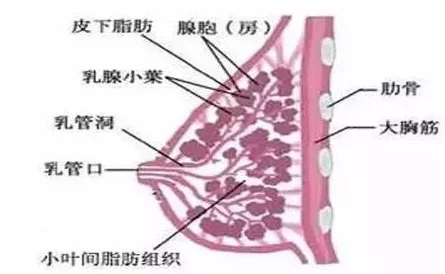 两个奶头被经理吃得又翘又肿视频，让人惊叹的画面和火热的情感交织，令人欲罢不能的体验！
