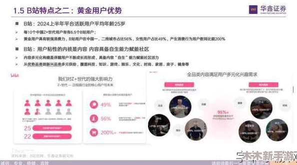 b站推广网站mmm的推荐机制：用户评价解析与成功案例分享，让我们一起揭开背后的秘密！