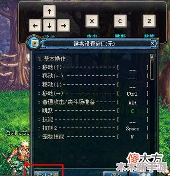DNF游戏中操控神兽技能释放的快捷键指南
