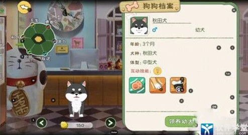 小森生活宠物狗养成全攻略：从零开始打造你的忠实伙伴