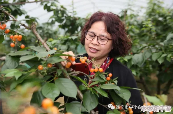 一小孩半夜偷偷给女孩吃枇杷，令人感动的温暖之举