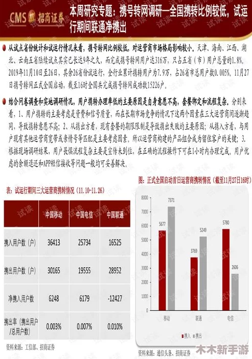 前四后八是什么意思缅北？探秘这一交通术语背后的真实含义与用户见解