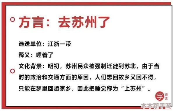 前四后八是什么意思缅北？探秘这一交通术语背后的真实含义与用户见解