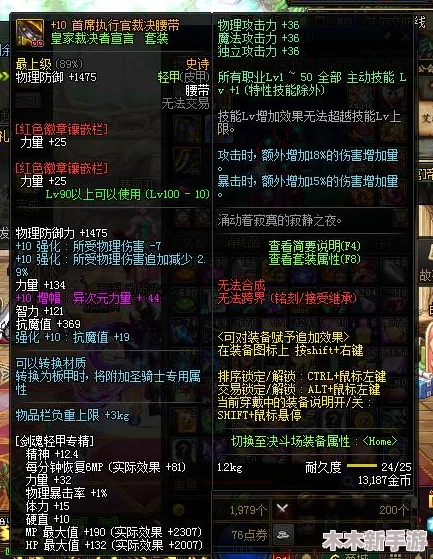 DNF装备词条详解：探寻并识别属于你的黄字伤害加成