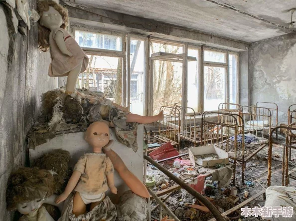 辐射4游戏中哪位伙伴携带垃圾物品容量最大探究