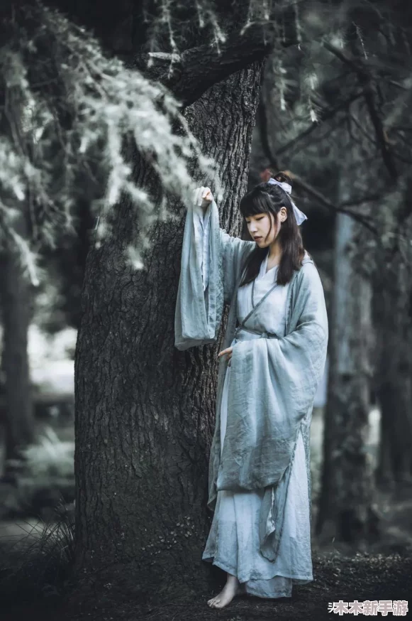 一年经年经继拇的道理和道理：深刻反思时间流逝与人生智慧的启示