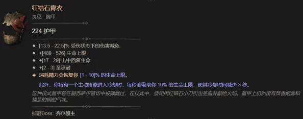 暗黑破坏神4：红锆石胄衣全面属性展示与实战效能评估