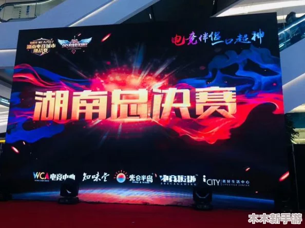 亚洲挑战者之星邀请赛：聚焦电竞新秀，见证未来冠军的崛起与荣耀