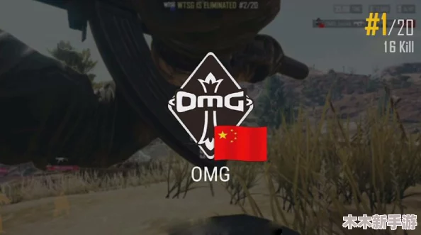 俄罗斯16岁csgo：年轻天才如何在电竞世界中崭露头角与挑战