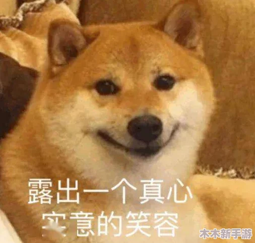 一个人偷偷看b站，竟然发现了这些让人意想不到的精彩内容与独特体验！