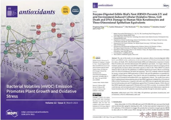 w17.c-起草：深度剖析，详尽解读，全方位分析最新研究成果