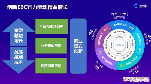 37大但人company：如何在数字时代实现商业转型与创新增长的成功之道