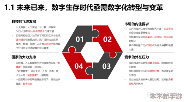 37大但人company：如何在数字时代实现商业转型与创新增长的成功之道