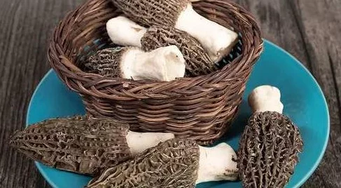 AAAA级毛皮品牌大全，热门词汇：时尚、奢华、精致、高端品质