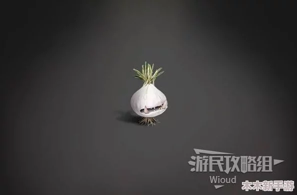 七日世界探索：高效获取洋葱种子策略与技巧详解