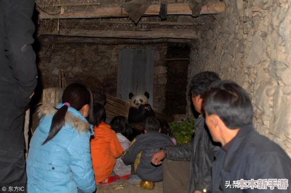 人猪又细 又 长 像 钻 头 一样 图片 最新 下载 安装 全流程