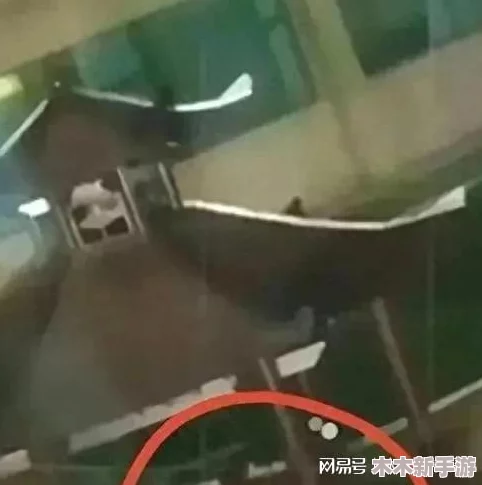 体内 精69XXXtv 男女XXOO视频流出！最新网红热门词曝光