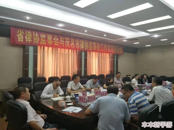 一前一后三个人一起的游戏规则：探索团队协作的新方式与用户评价的真实反馈