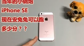 CnⅰneSe偷看农妇BBw，真是让人震惊的画面，值得一看，令人深思
