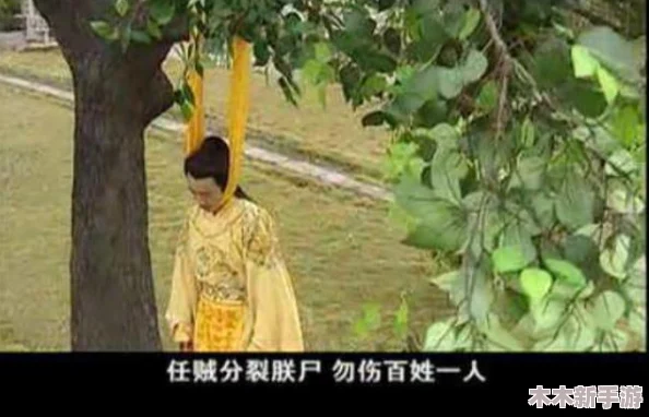 老人二进宫梅开二度的感人情景：众人感叹岁月如歌，情深似海，再现温馨的岁月回忆