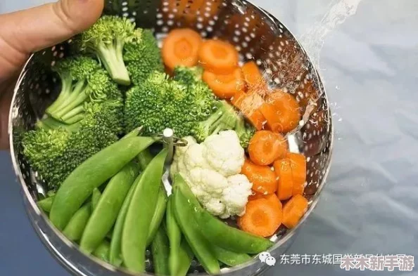 明日之后美食探索：蒸烤蔬菜详细制作步骤与独特配方分享