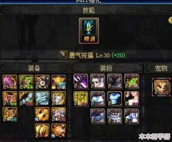 DNF奶妈角色优选宠物胶囊指南：全面对比解析哪款最适合