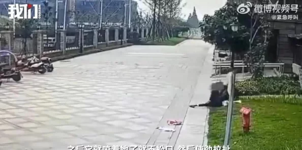 DNF苏醒之森新版本女漫游职业技能优化加点策略指南