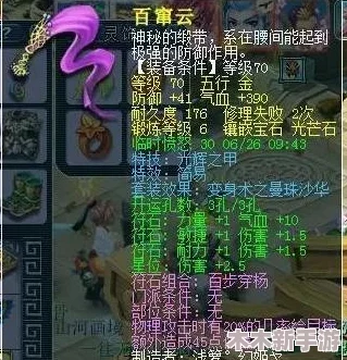 《梦幻西游》69级花果山角色高效搭配指南：精选套装推荐与策略分析