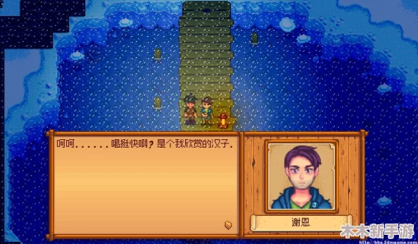 星露谷物语中那抹神秘莫测的模糊身影究竟是谁
