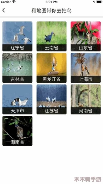 91黑料吃瓜网热点大瓜：引爆社交平台的惊天内幕曝光，网友疯传讨论！
