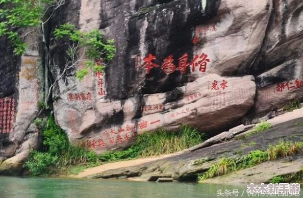 日本高清一曲二曲三曲：用户评价称其音乐质量出众，视听体验令人难忘