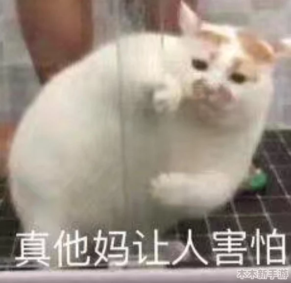 怀孕牧场1.1.0：用户点赞其趣味性和画风，期待更多游戏内容更新！