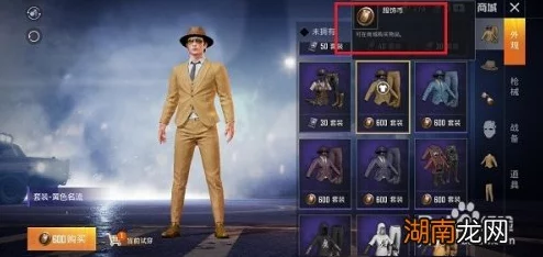 和平精英全方位攻略：高效获取并利用服饰币的实用方法