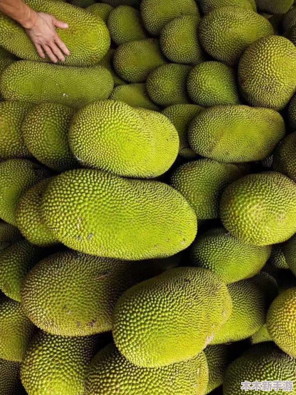 国精产品一一二二菠萝蜜，网友评价：口感鲜美，回味无穷，深受大家喜爱！