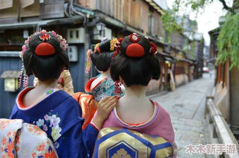 日本xxxwww：深度理解日本文化与传统，探寻背后的历史渊源和社会影响