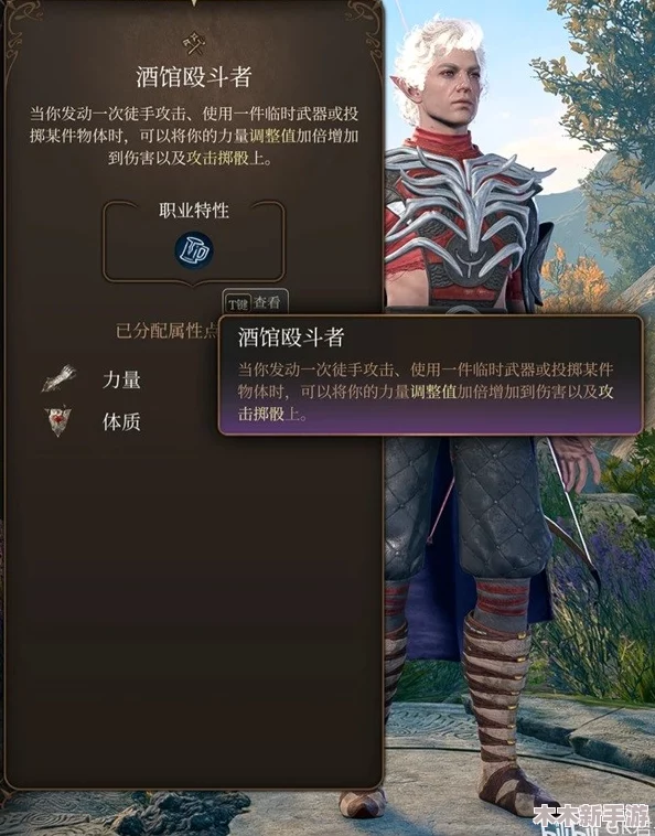 博德之门3：高效散打武僧BD构建策略与配置详解指南