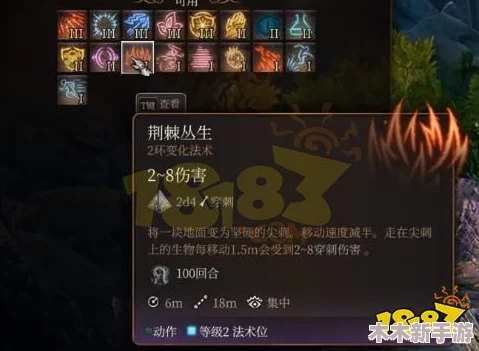 博德之门3高效驯兽游侠BD构建策略与配置指南详解