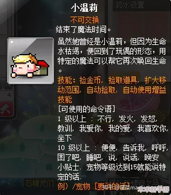探索冒险岛奇趣世界：全面解锁宠物伙伴大图鉴