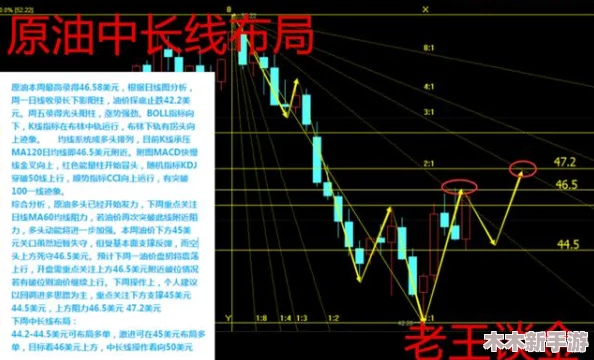 深入分析：xxxbbb背后的市场趋势与未来发展机遇