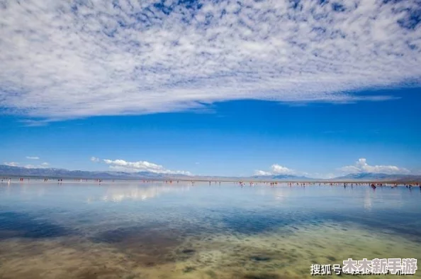 草莓视频网站下载背后的精彩世界：寻找最佳资源的实用指南