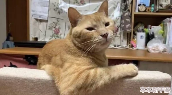 猫メイド像素下载：玩家们热赞的可爱画风与趣味玩法引发热议！