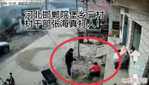 监控设备揭示＂CnⅰneSe偷看农妇BBw＂的奇异乡村生活一瞥