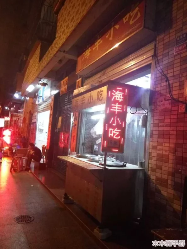 老镖客城中村扫街小少的深夜美食探秘之旅