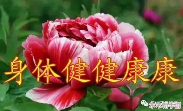 车多肉多的骨科现言：现代都市爱情中的欲望与治愈之旅