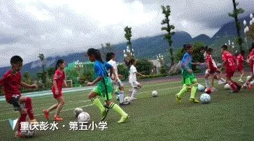 探秘《创造与魔法》奇幻之旅：微光森林的具体位置及其神秘魅力详解